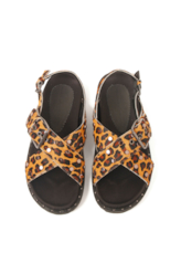 Slide Animal Print Ellus Caramelo