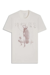 T-Shirt Cotton Fine Fearless Rock Off White