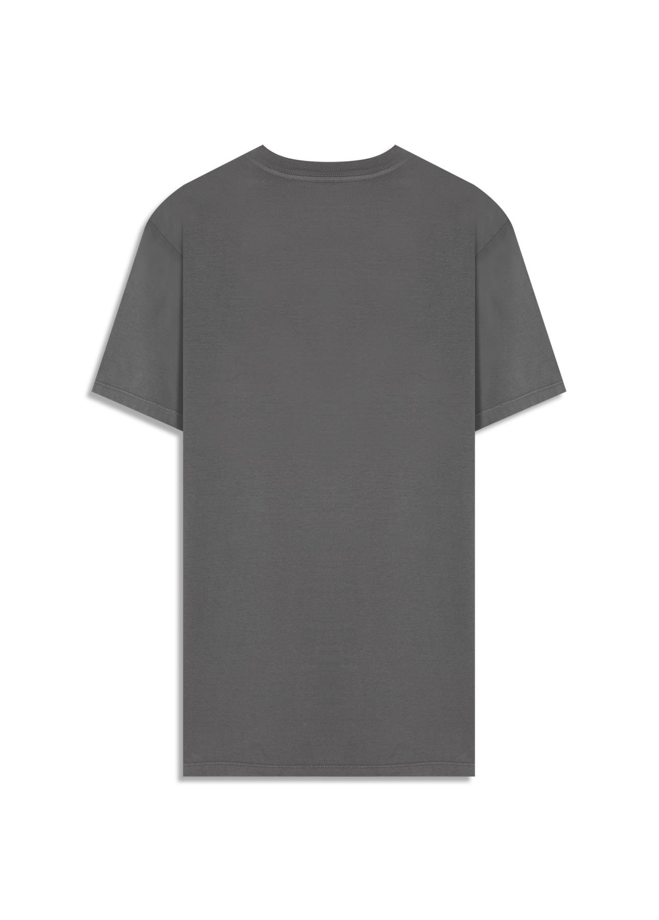 T-Shirt Cotton Fine Maxi Easa Cinza Claro