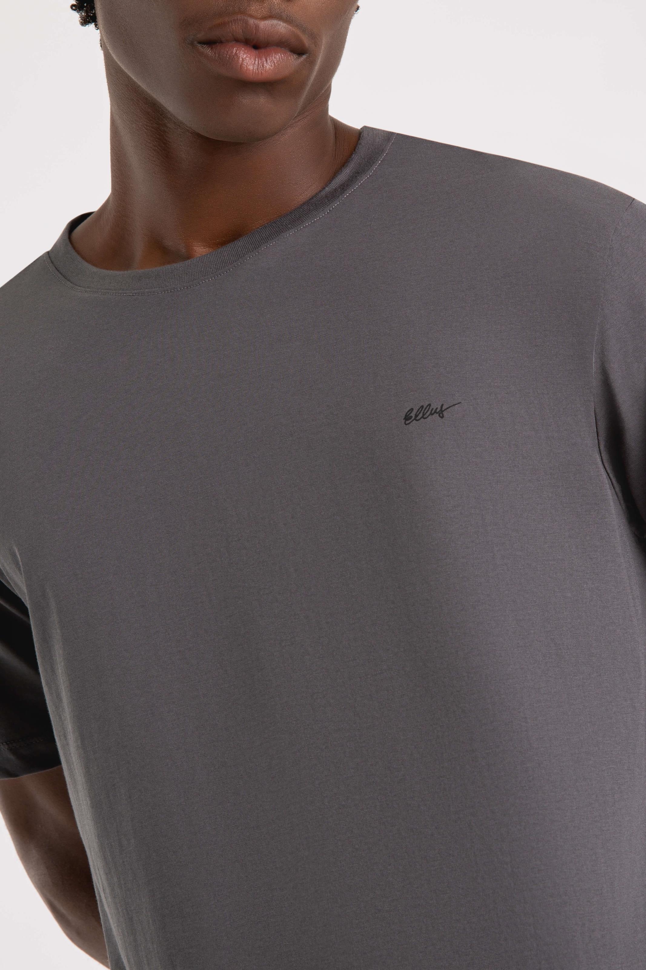 T-Shirt Cotton Pima Classic Grafite