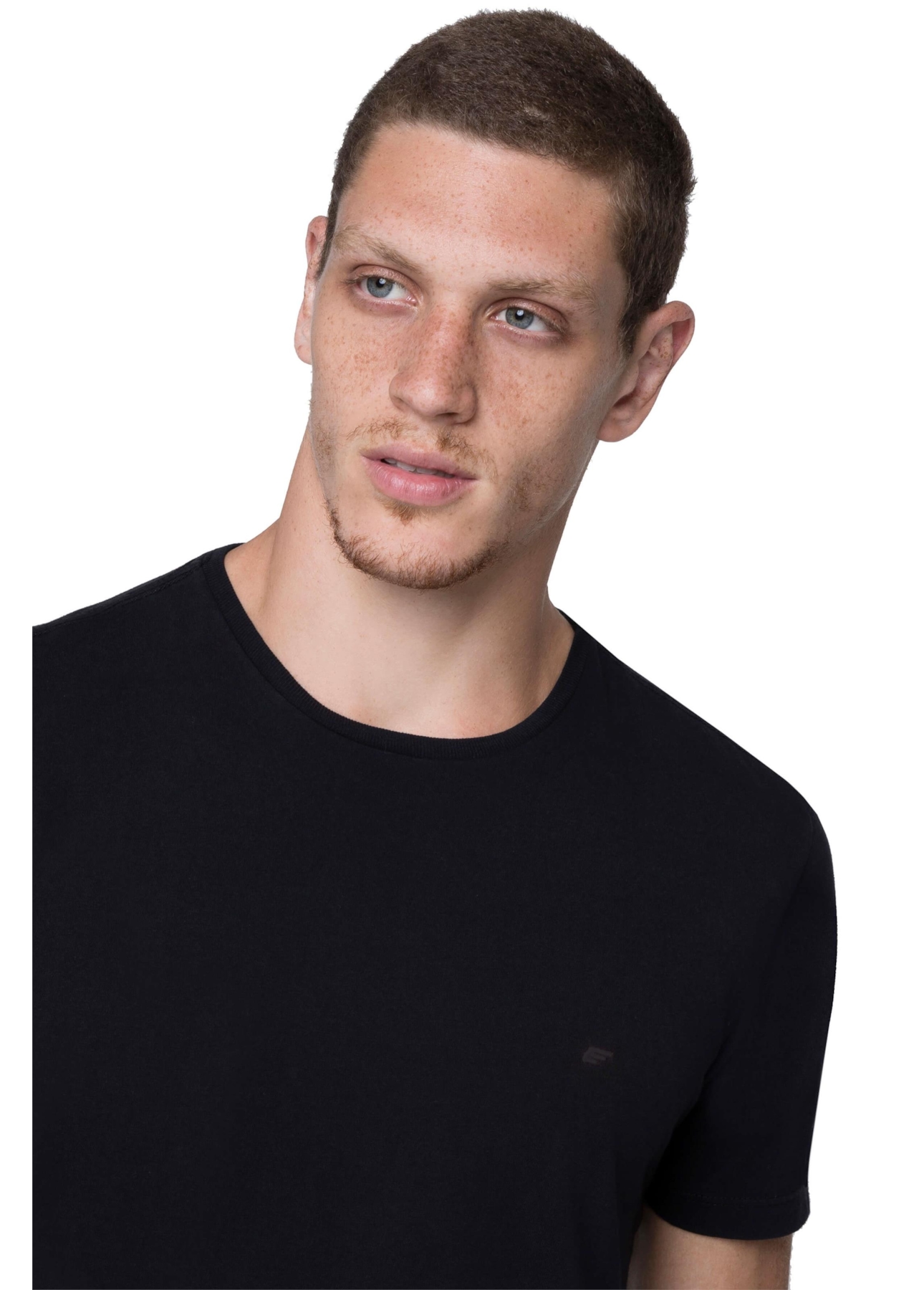 T-Shirt e Asa Preto