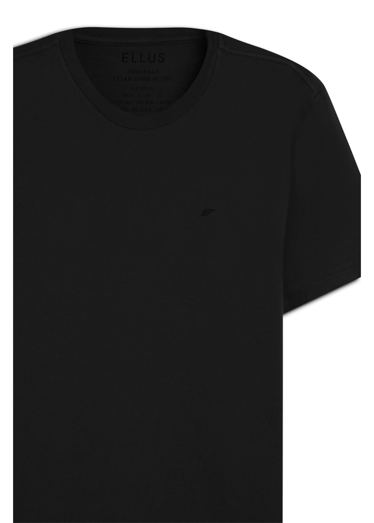 T-Shirt e Asa Preto