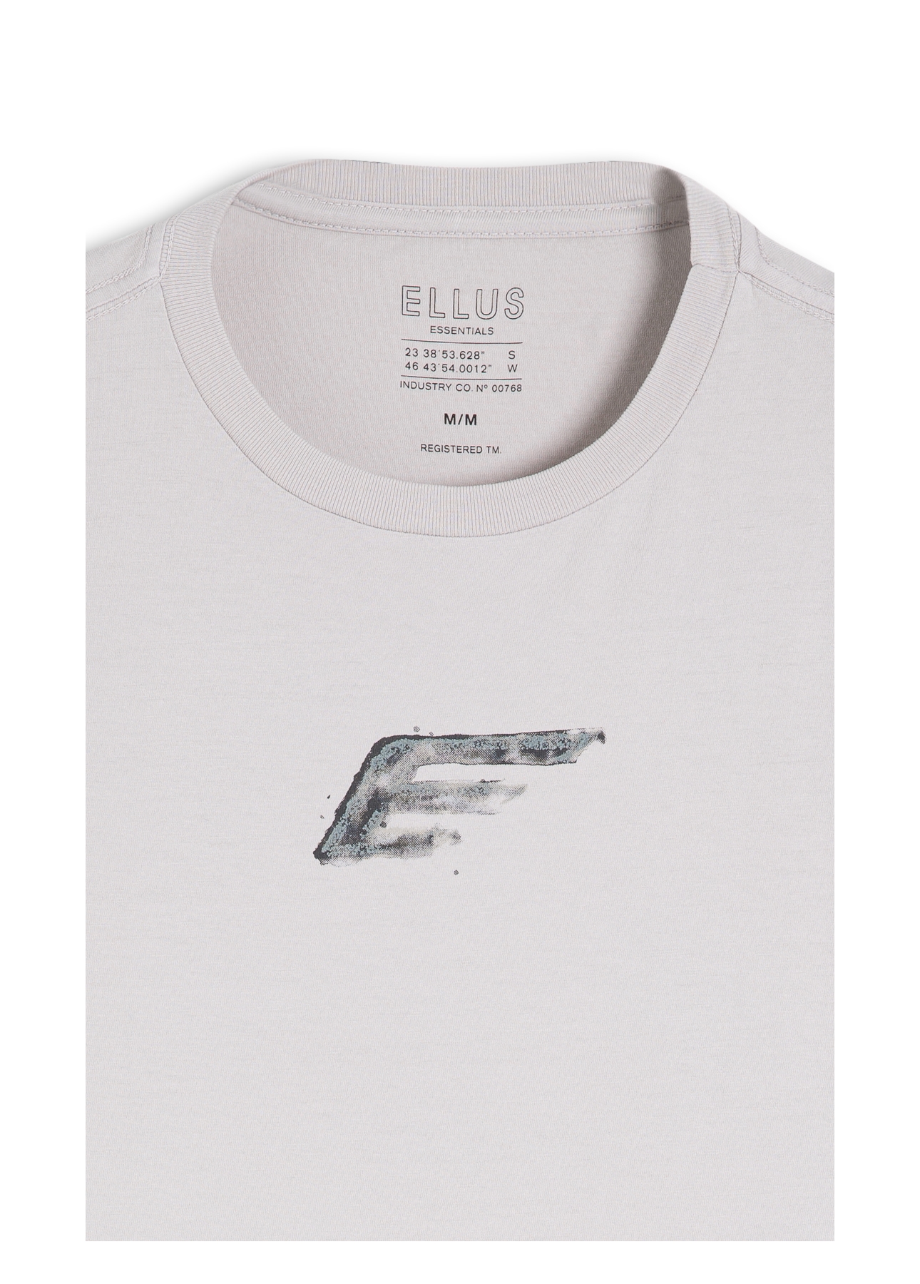 T-Shirt Easa Paint Classic Prata