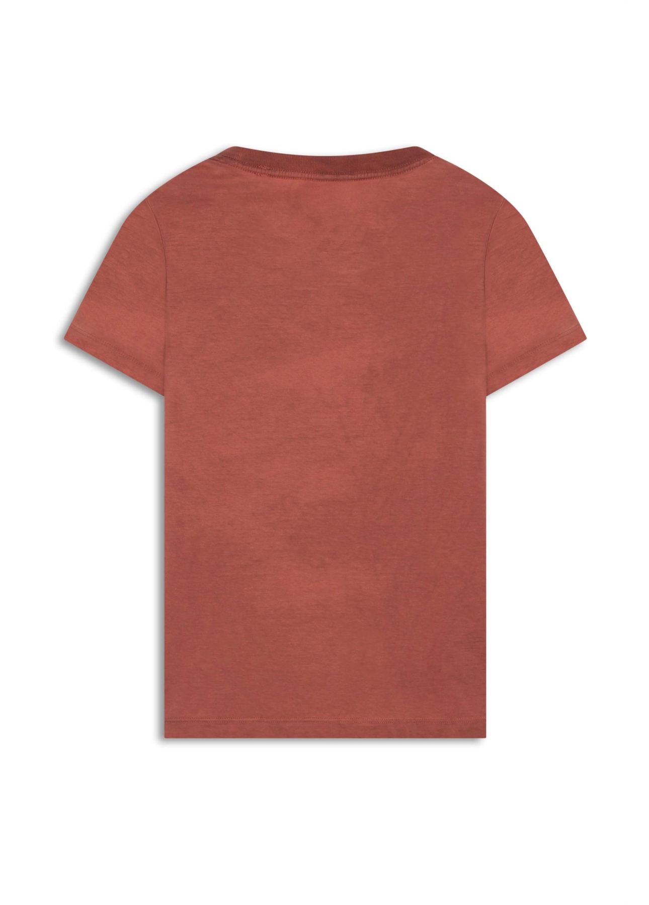 T-Shirt Fine e Asa Slim Terra