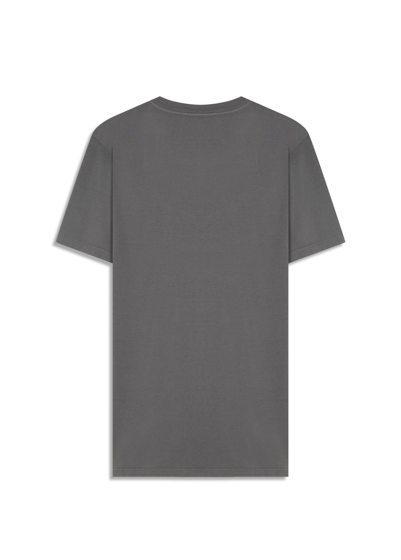 T-Shirt Fine Easa Classic Cinza Claro