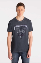 T-Shirt Predator Classic Petroleo