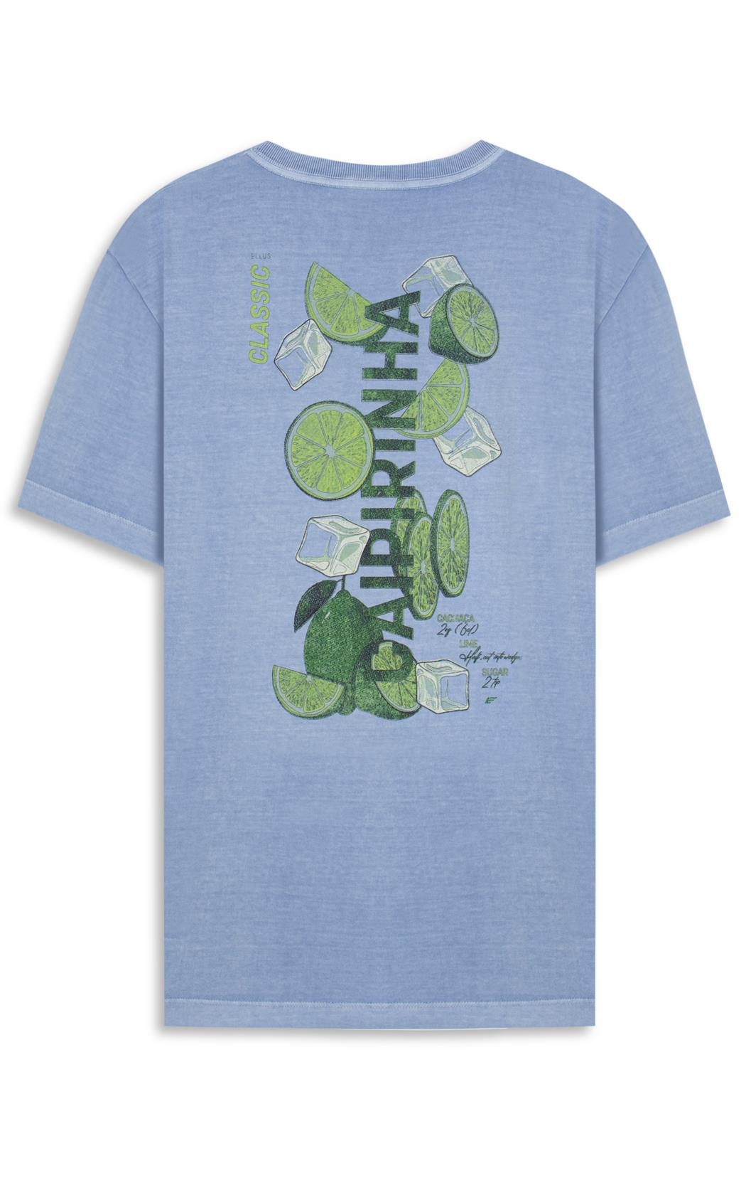 T-Shirt Washed Nordic Tour Marrom