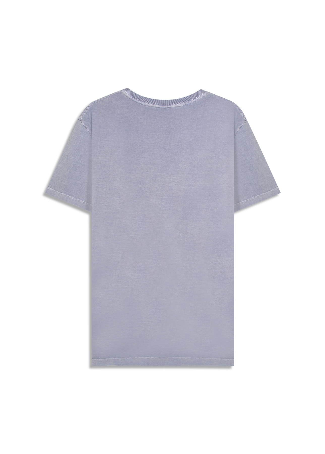 T-Shirt  Washed Coyote Blue Vintage