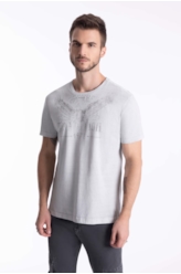 T-Shirt Washed Eagle Tradition Cinza