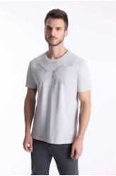 T-Shirt Washed Eagle Tradition Cinza