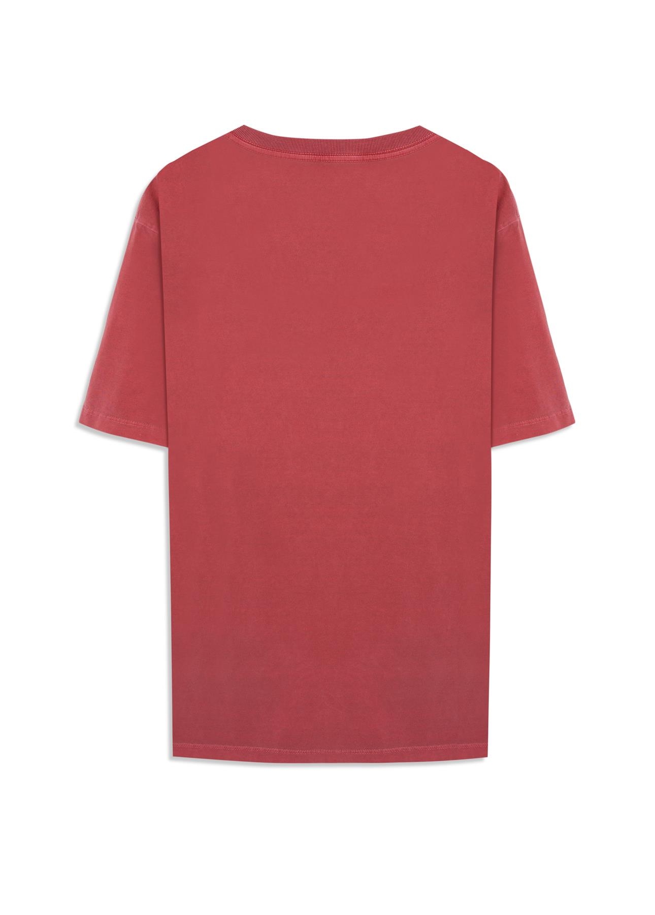 T-Shirt Washed Ellus Cereja