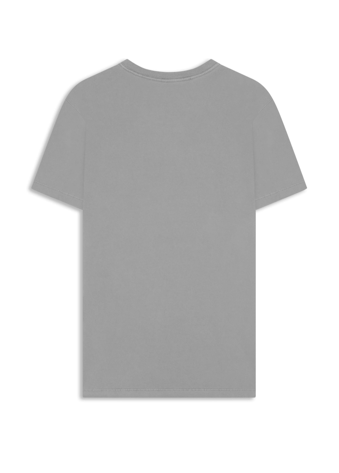 T-Shirt Washed Ellus Classic Cinza