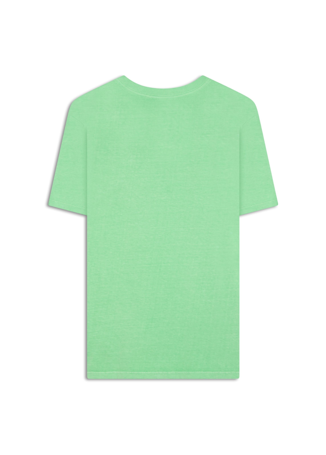 T-Shirt Washed Ellus Originals Verde Maca