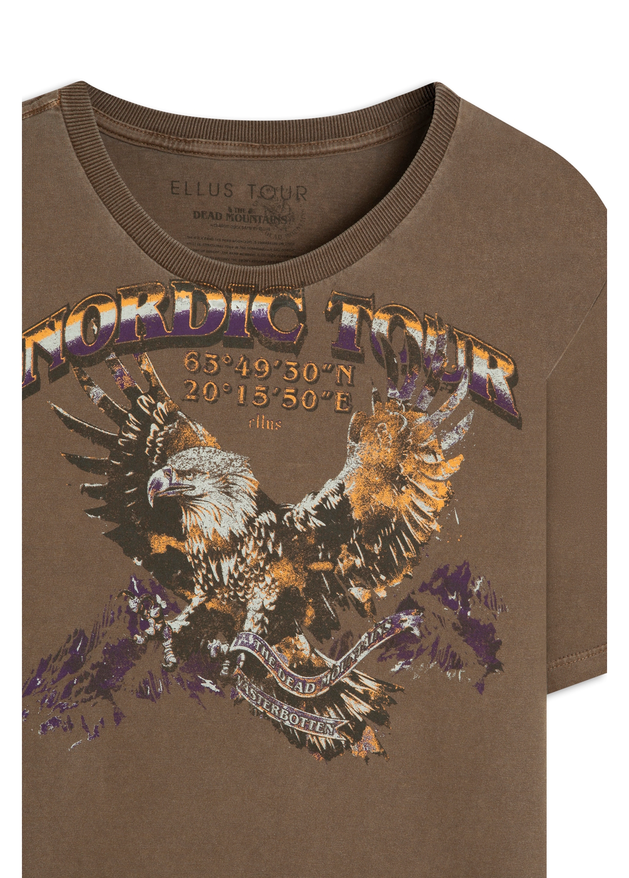T-Shirt Washed Nordic Tour Marrom
