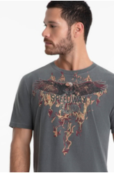 T-Shirt Washed Speedway Flames Cinza
