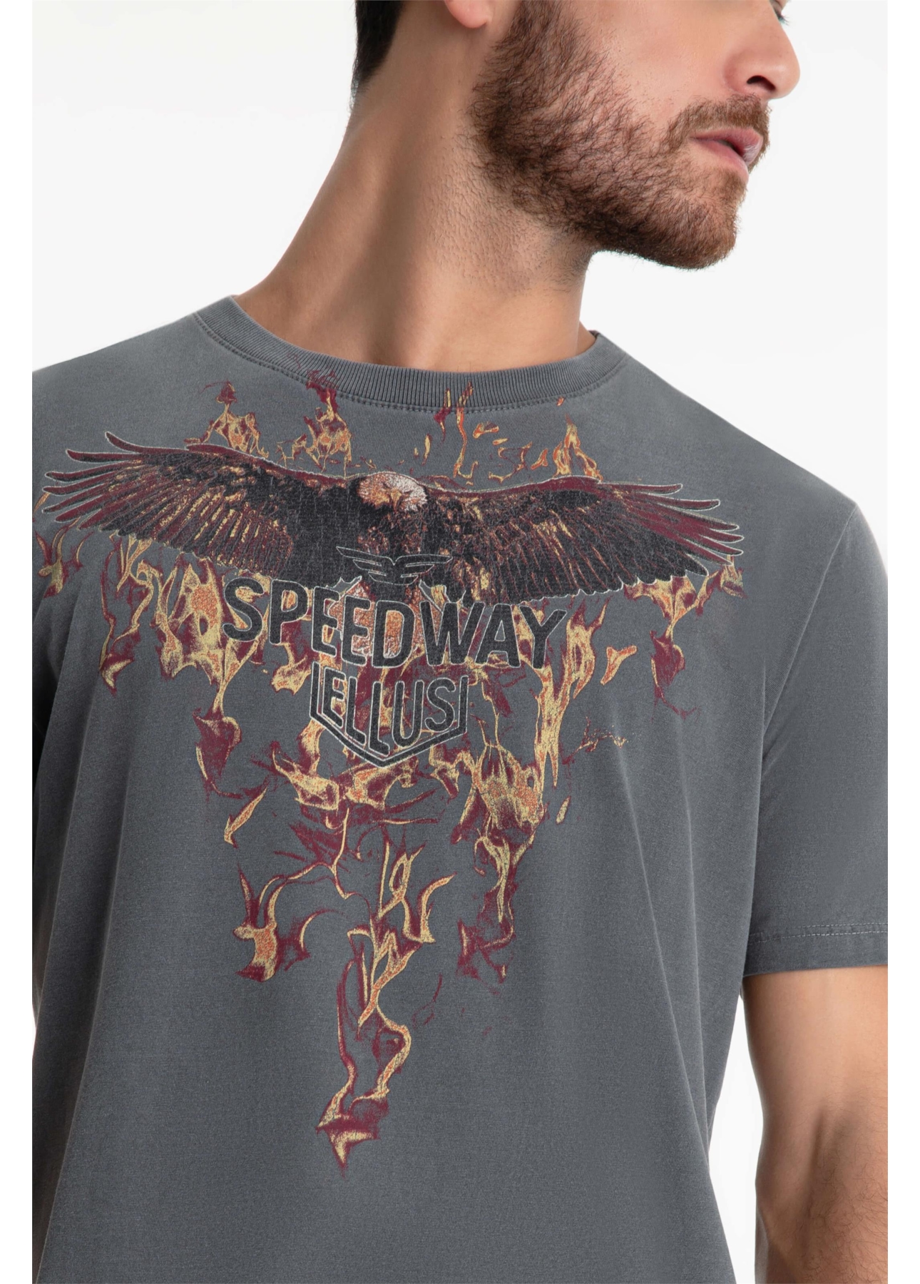 T-Shirt Washed Speedway Flames Cinza