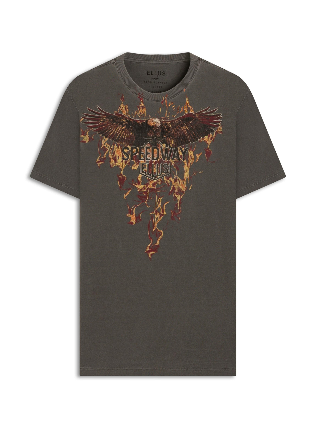 T-Shirt Washed Speedway Flames Cinza