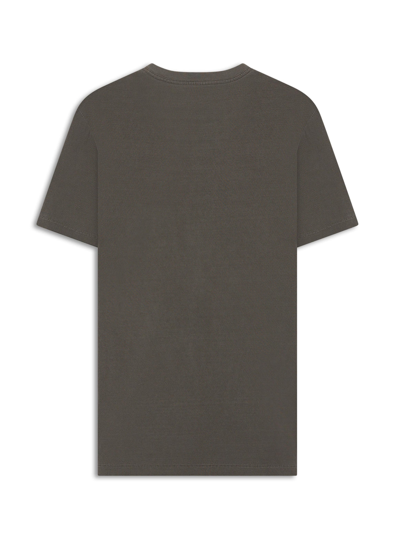 T-Shirt Washed Speedway Flames Cinza