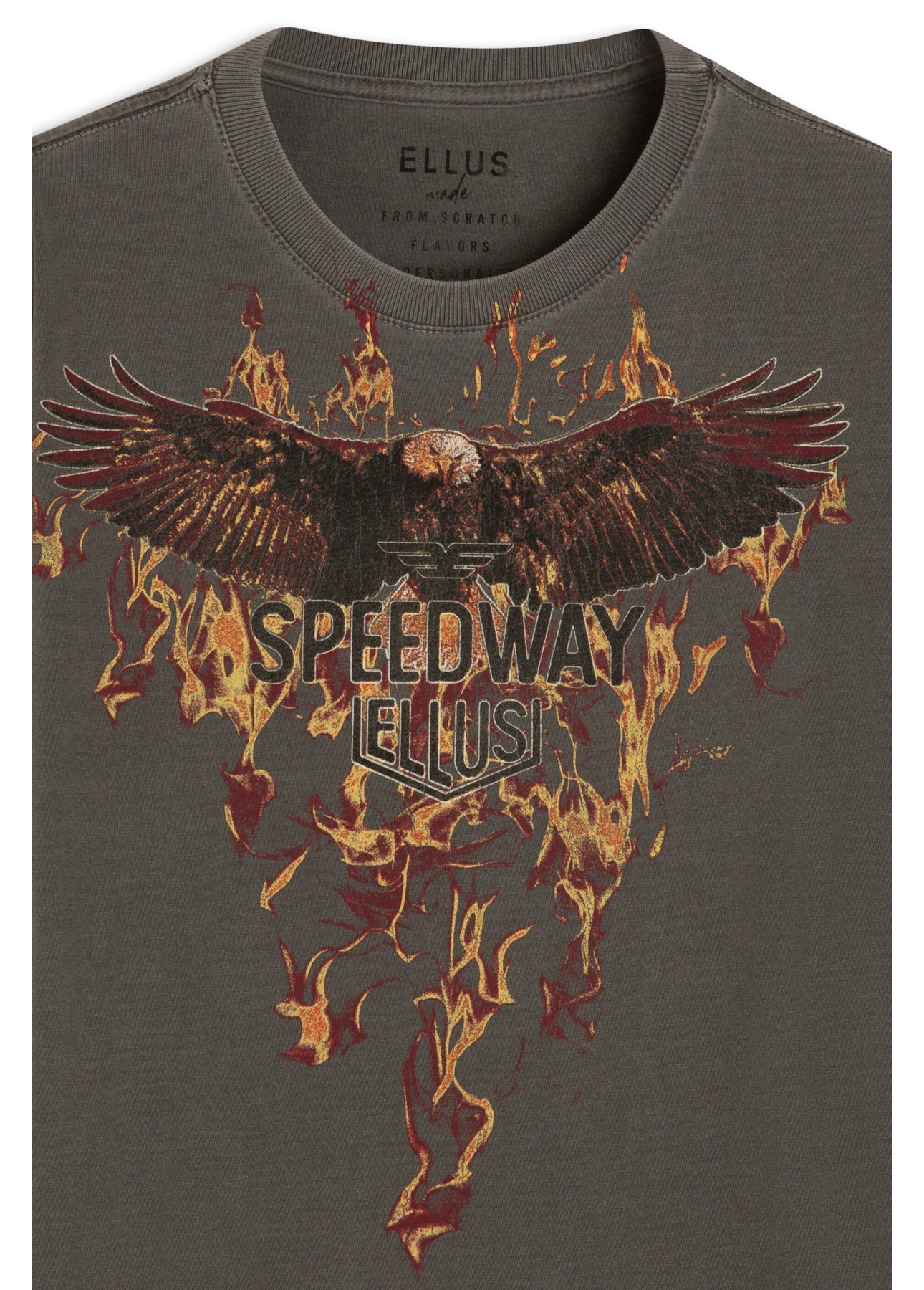 T-Shirt Washed Speedway Flames Cinza