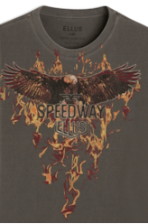 T-Shirt Washed Speedway Flames Cinza