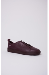 Tenis Archie Ellus Bordeaux