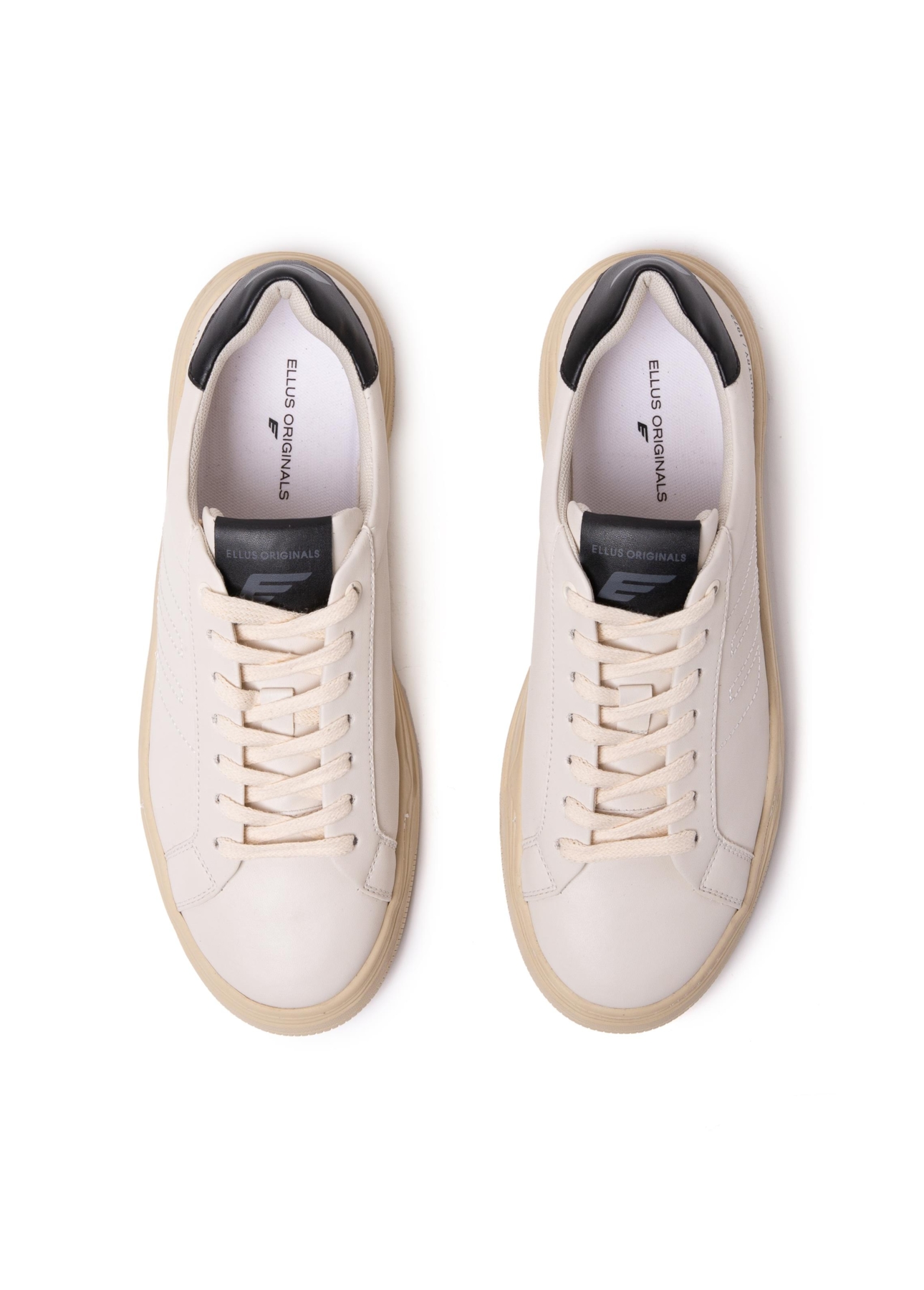 Tenis College Ellus Off White