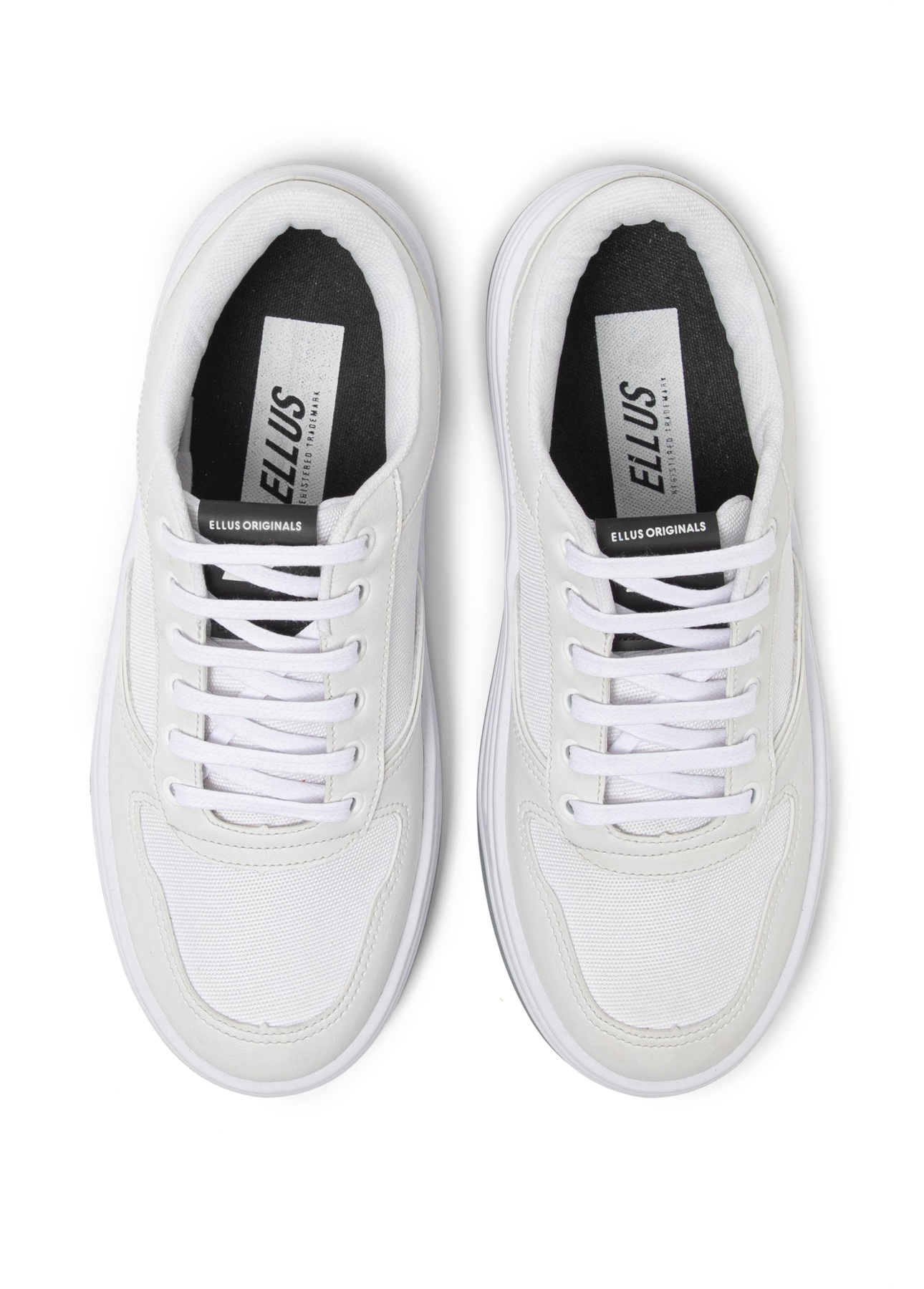 Tenis Evan Ellus Off White