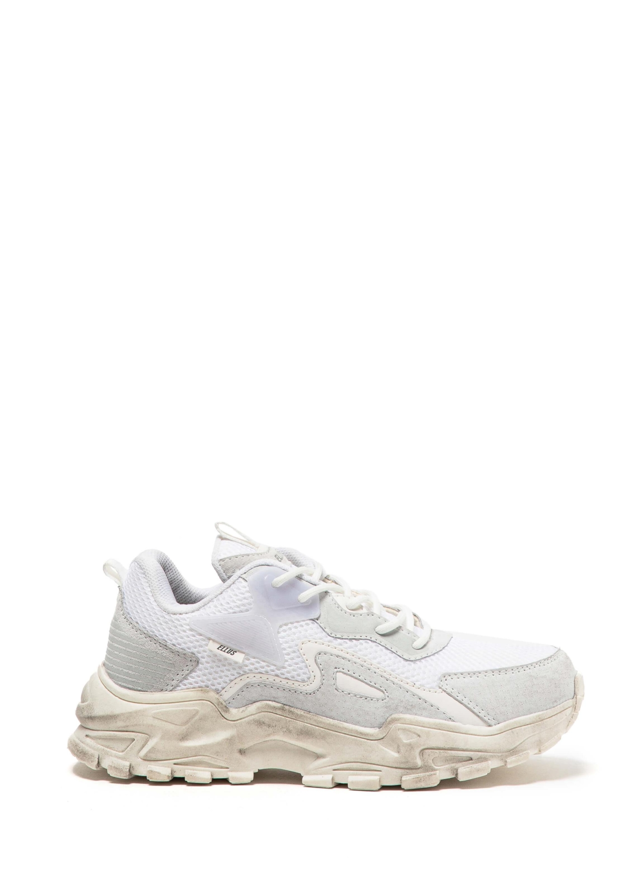 Tenis Roy Ellus Off White
