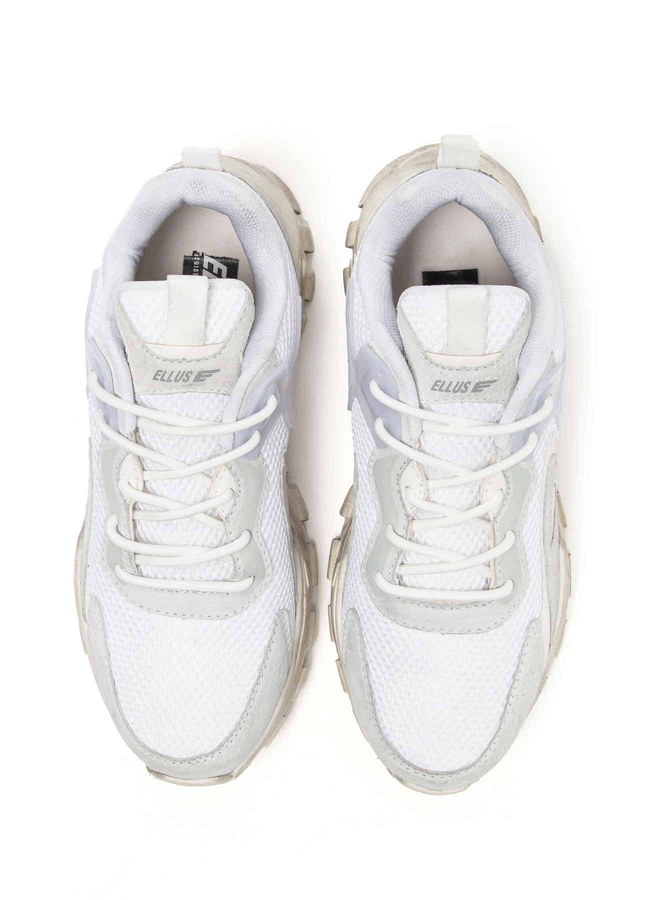 Tenis Roy Ellus Off White