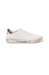 Tenis Sheron Ellus Off White