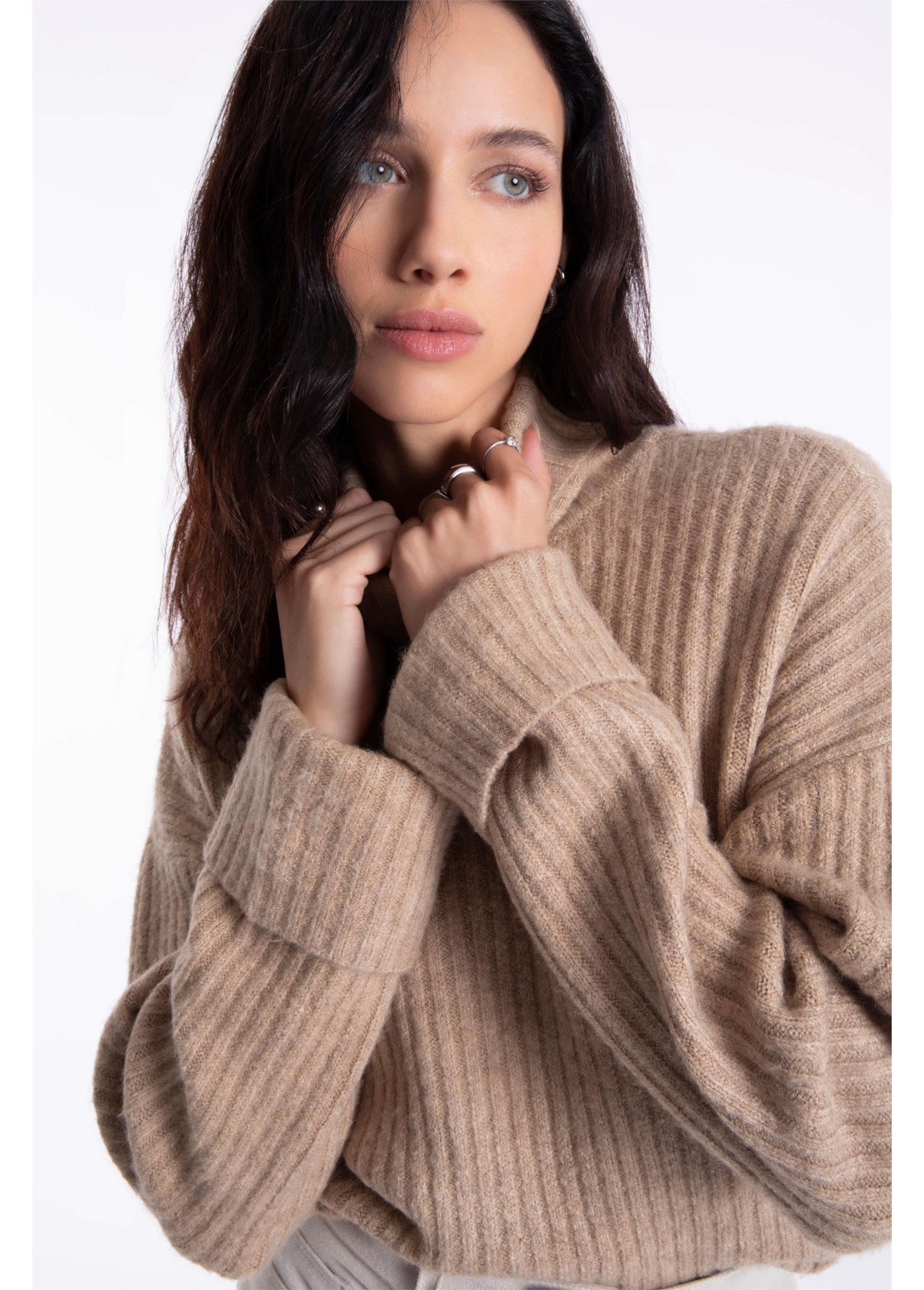 Tricot Wool Like Ribbed Turtleneck Husk