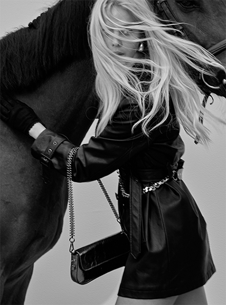 Imagem New Collection 2