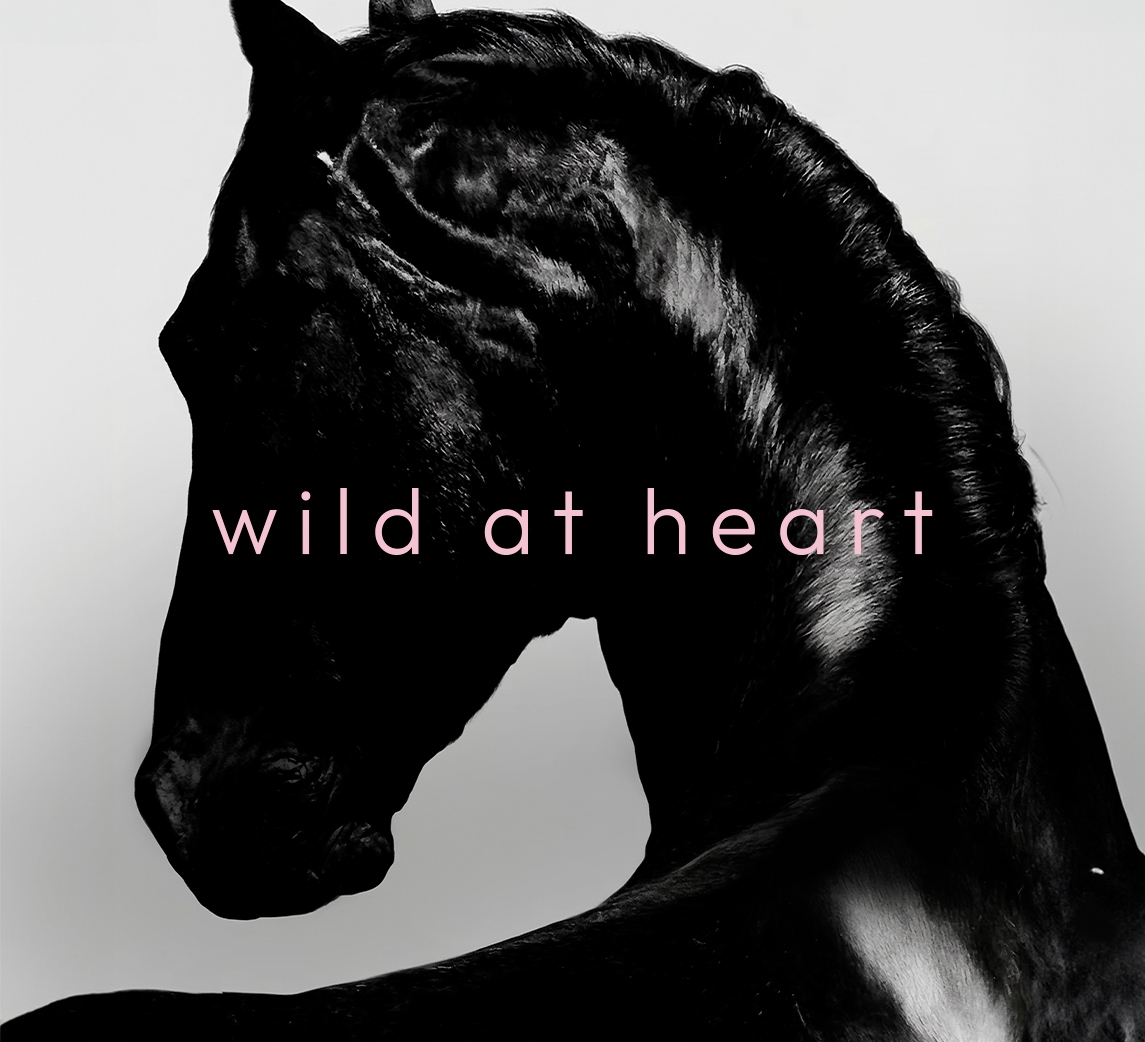 Imagem New Collection 1