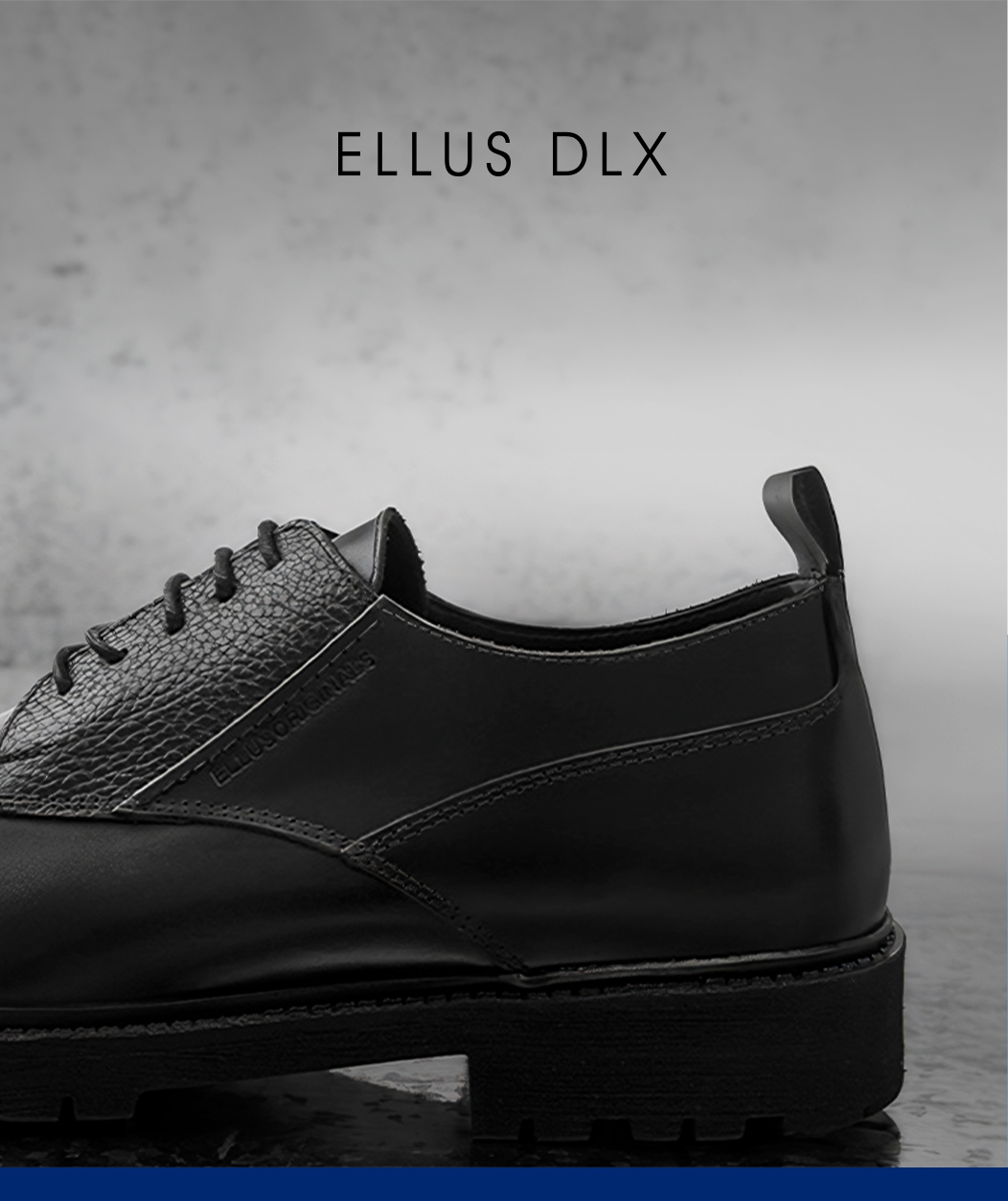 DLX a partir de R$589